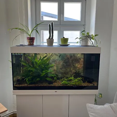 Thegreencapital ベルリン